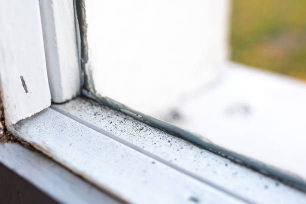Best Mold Prevention Services  in Aledo, TX